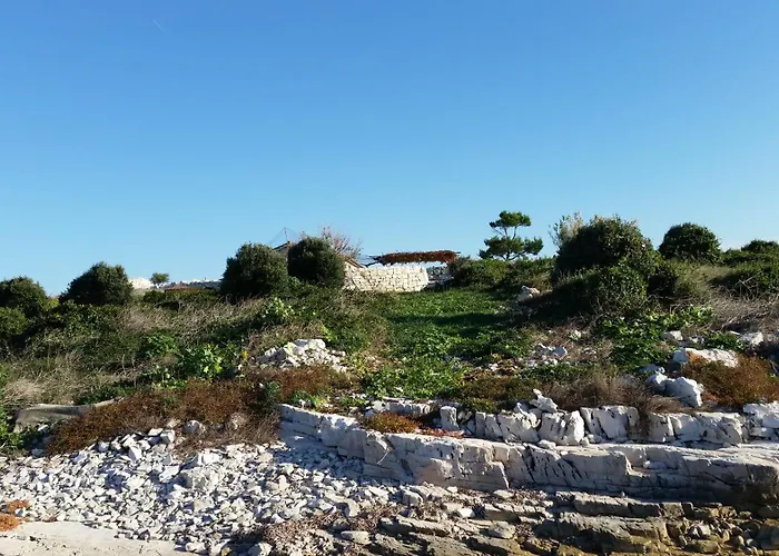 Kuca Za Odmor Island Just For - *